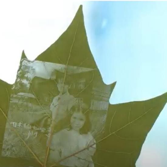 laser Customized Leaf Carving Photo